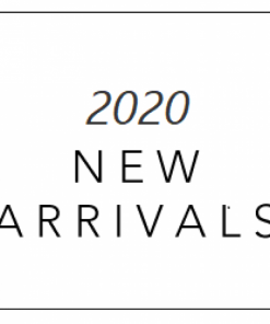 2020新作